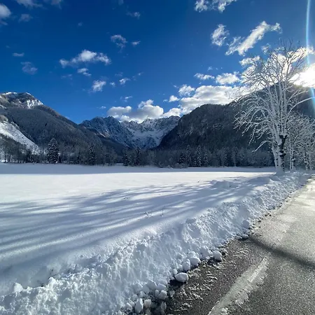 B&B Kocna 즈고르녜제커스코